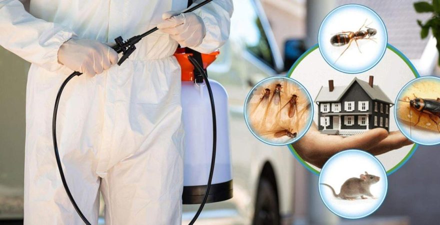 Çubuk Böcek İlaçlama