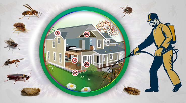 Çubuk Böcek İlaçlama