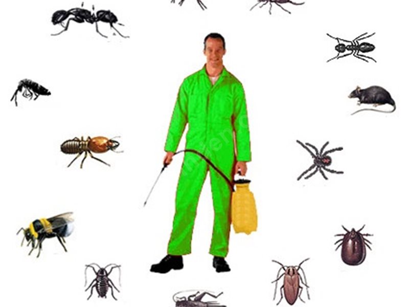 Çubuk Böcek İlaçlama